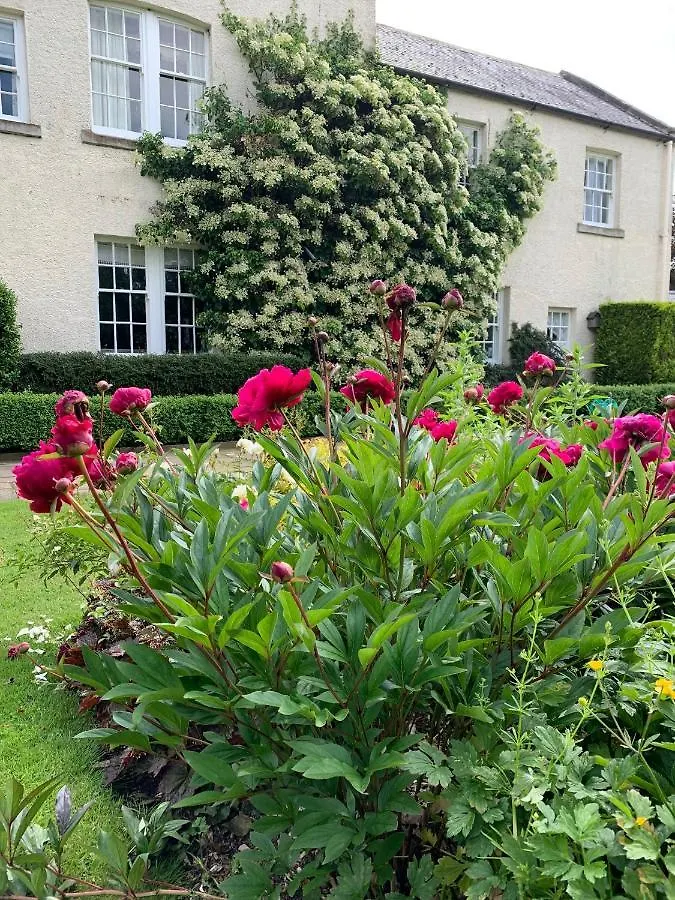 Dalton House Bed And Breakfast Bed & Breakfast